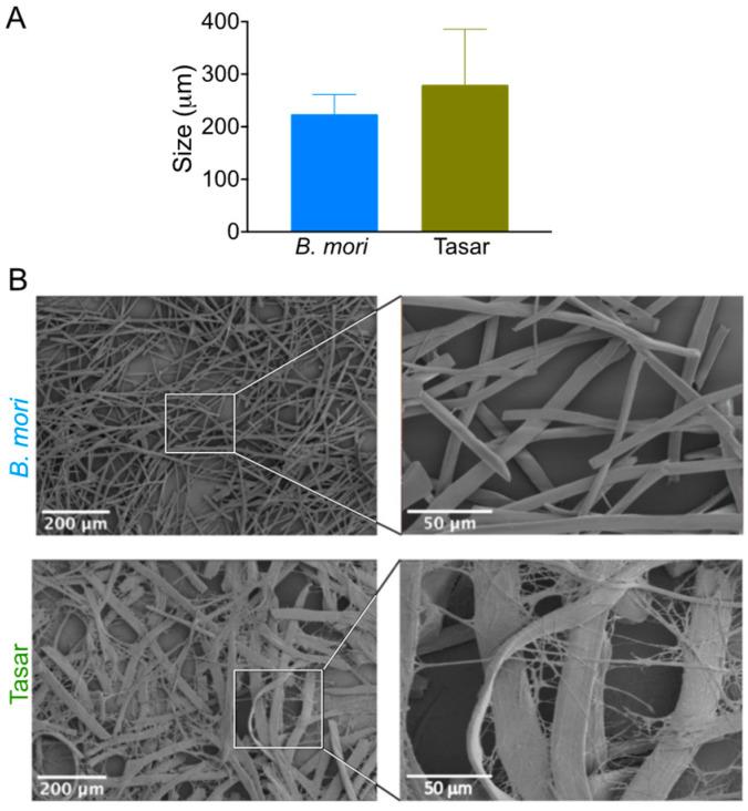 https://cdn.ncbi.nlm.nih.gov/pmc/blobs/959c/10777932/4f4f80fee360/cells-13-00010-g002.jpg