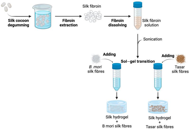 https://cdn.ncbi.nlm.nih.gov/pmc/blobs/959c/10777932/ac8650a5a4b3/cells-13-00010-g001.jpg