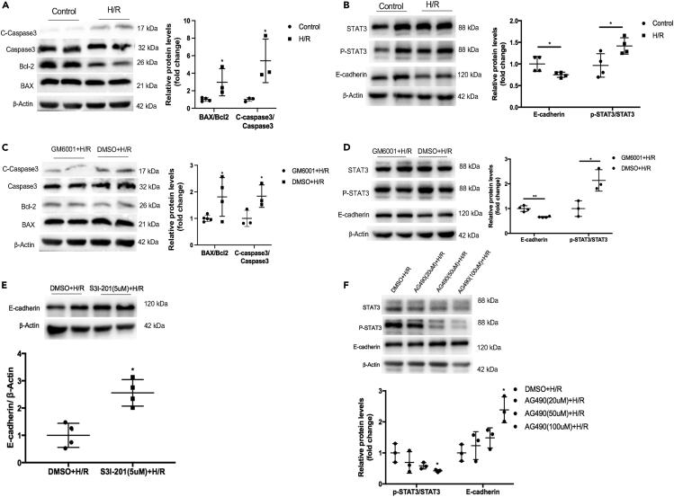https://cdn.ncbi.nlm.nih.gov/pmc/blobs/959d/10628745/5c06a681b5c5/gr4.jpg