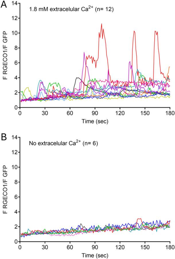 https://cdn.ncbi.nlm.nih.gov/pmc/blobs/959e/11996007/187412194075/JCP-240-0-g001.jpg