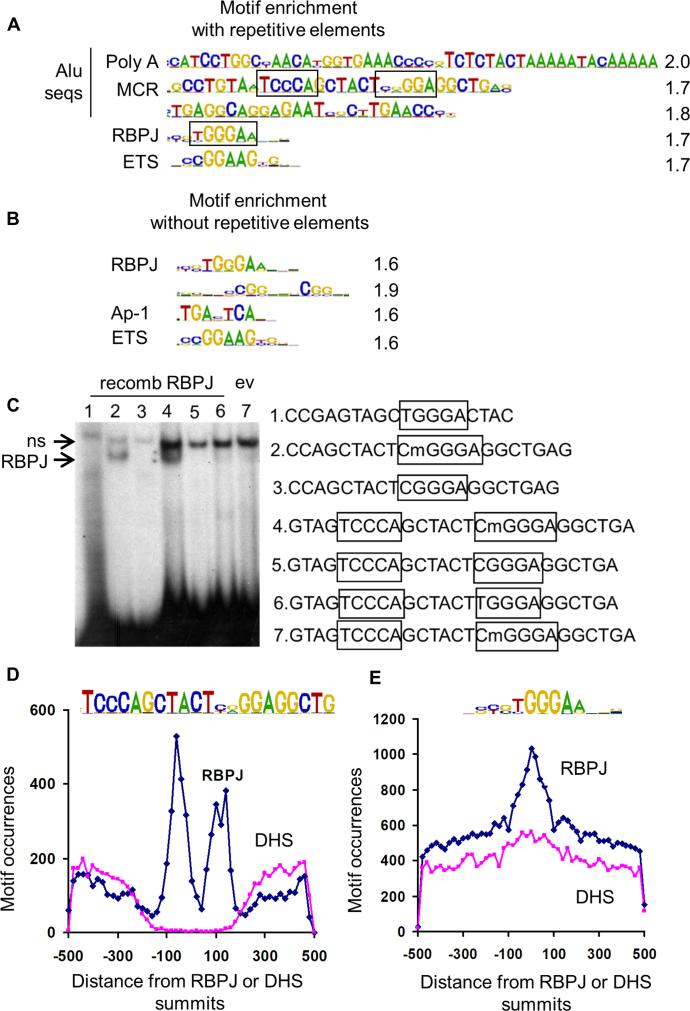 https://cdn.ncbi.nlm.nih.gov/pmc/blobs/959e/6144787/b4b3b591ea9a/gky562fig1.jpg