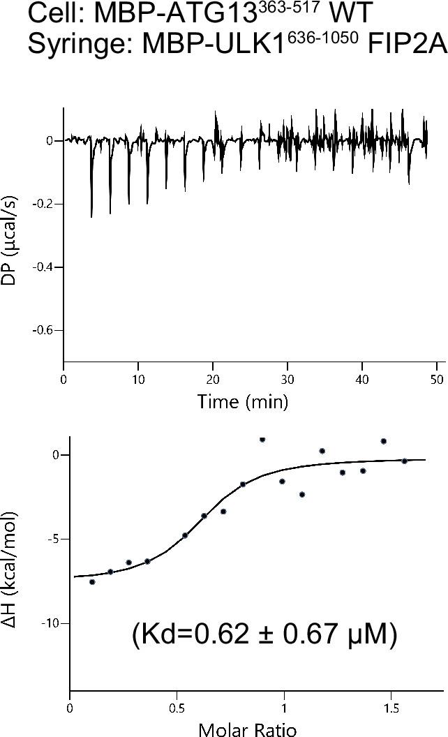 https://cdn.ncbi.nlm.nih.gov/pmc/blobs/959f/12187132/1bd7b85f8298/elife-101531-fig3-figsupp1.jpg