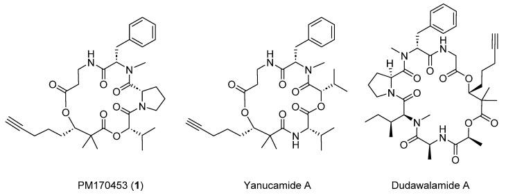 https://cdn.ncbi.nlm.nih.gov/pmc/blobs/95a1/11277655/3bce29ab489f/marinedrugs-22-00303-g001.jpg