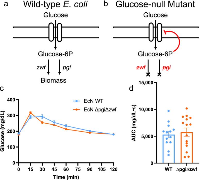 https://cdn.ncbi.nlm.nih.gov/pmc/blobs/95a2/8636602/865863d68aa5/41598_2021_2431_Fig2_HTML.jpg