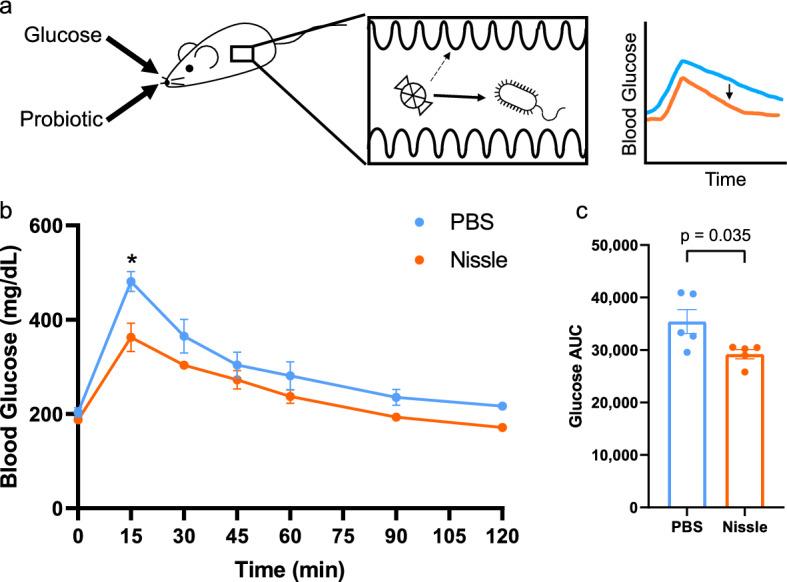 https://cdn.ncbi.nlm.nih.gov/pmc/blobs/95a2/8636602/c02ad29a9cc3/41598_2021_2431_Fig1_HTML.jpg