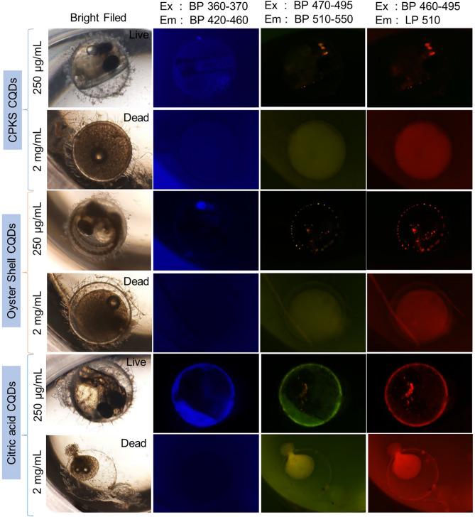 https://cdn.ncbi.nlm.nih.gov/pmc/blobs/95a3/11148068/75d5d78cc4ec/41598_2024_62901_Fig7_HTML.jpg