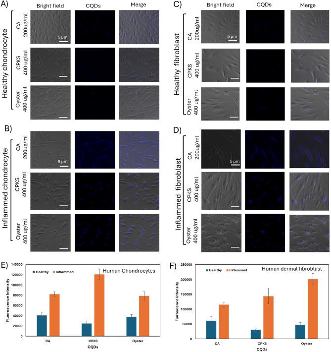 https://cdn.ncbi.nlm.nih.gov/pmc/blobs/95a3/11148068/bd903c256a61/41598_2024_62901_Fig5_HTML.jpg