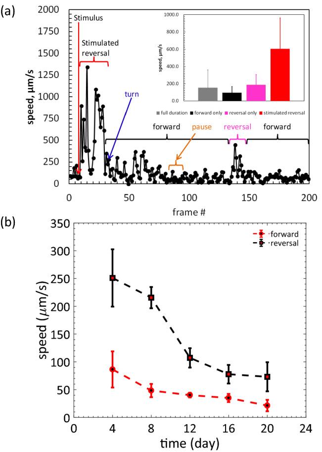 https://cdn.ncbi.nlm.nih.gov/pmc/blobs/95a3/7530743/c34856e8102d/41598_2020_73002_Fig10_HTML.jpg