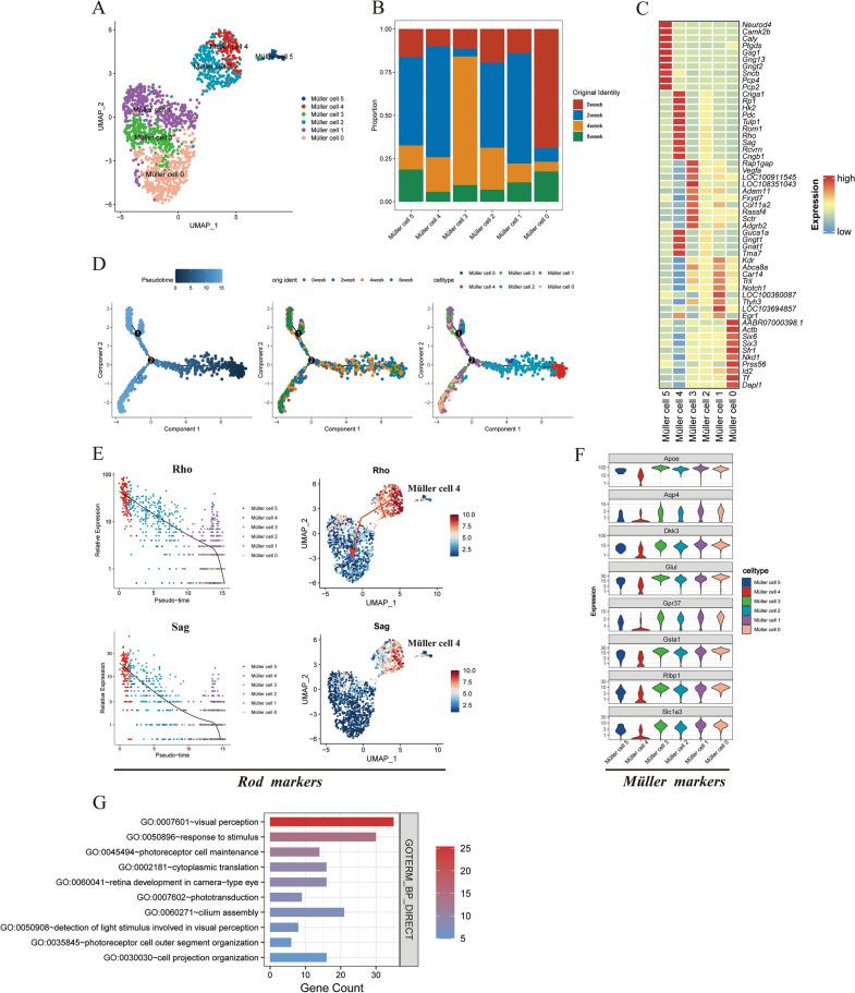 https://cdn.ncbi.nlm.nih.gov/pmc/blobs/95a7/11067085/147b1c00269b/40001_2024_1847_Fig3_HTML.jpg