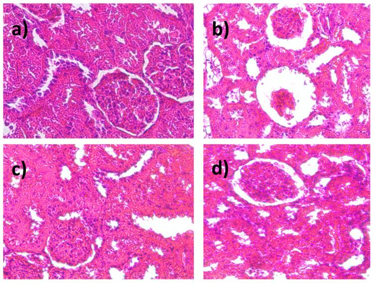 https://cdn.ncbi.nlm.nih.gov/pmc/blobs/95a7/11900308/90c455a01303/ijms-26-02063-g003.jpg
