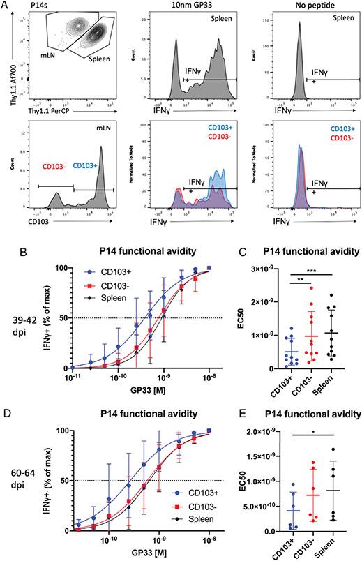 https://cdn.ncbi.nlm.nih.gov/pmc/blobs/95a7/9605862/13a03fed3021/nihms-1844127-f0003.jpg