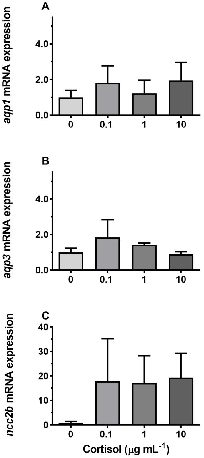https://cdn.ncbi.nlm.nih.gov/pmc/blobs/95ab/6562476/22069fb3e1ed/cells-08-00422-g010.jpg