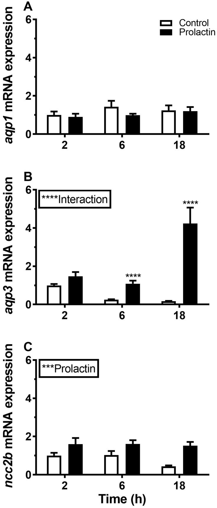 https://cdn.ncbi.nlm.nih.gov/pmc/blobs/95ab/6562476/d24478934699/cells-08-00422-g012.jpg