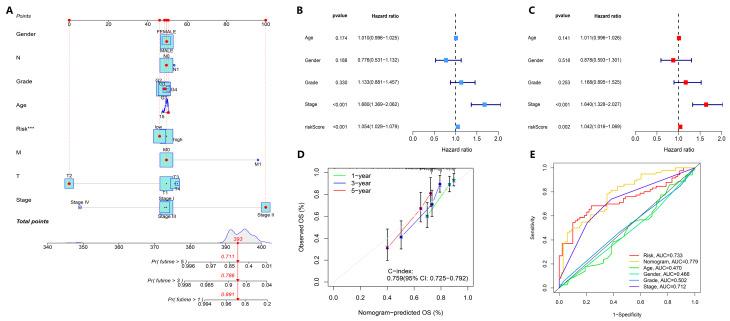https://cdn.ncbi.nlm.nih.gov/pmc/blobs/95af/12383802/9a71a086519b/biology-14-01079-g004.jpg