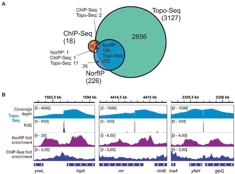 https://cdn.ncbi.nlm.nih.gov/pmc/blobs/95b0/10117906/a7c5f1ac3b19/fmicb-14-1160736-g004.jpg