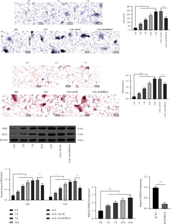 https://cdn.ncbi.nlm.nih.gov/pmc/blobs/95b1/9836812/31845f3bf1c5/SCI2023-7545635.002.jpg