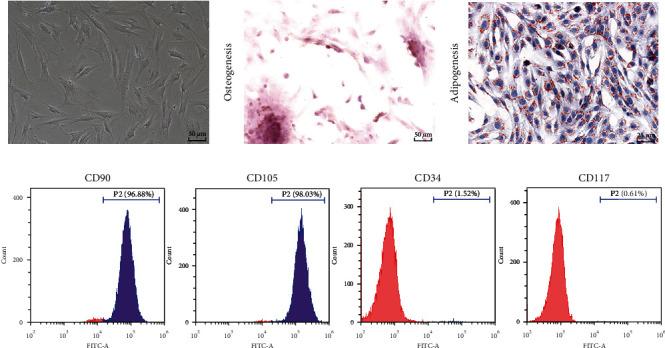 https://cdn.ncbi.nlm.nih.gov/pmc/blobs/95b1/9836812/c537d37bc8b9/SCI2023-7545635.001.jpg