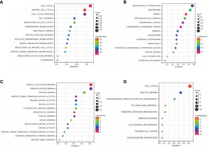 https://cdn.ncbi.nlm.nih.gov/pmc/blobs/95b5/9869167/111f9cb137ba/fimmu-13-1050743-g004.jpg