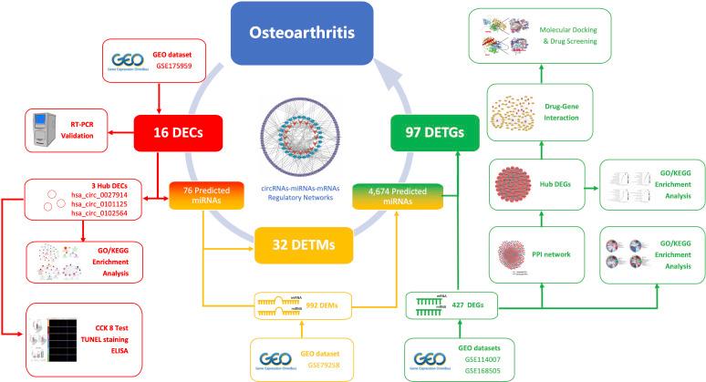 https://cdn.ncbi.nlm.nih.gov/pmc/blobs/95b5/9869167/32781e96d986/fimmu-13-1050743-g010.jpg