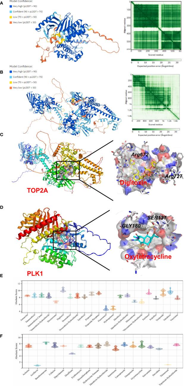https://cdn.ncbi.nlm.nih.gov/pmc/blobs/95b5/9869167/942a0e878695/fimmu-13-1050743-g006.jpg