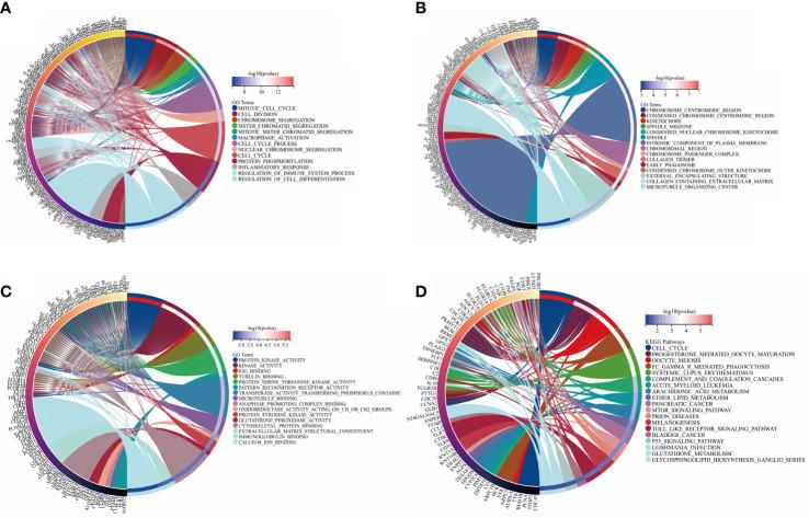 https://cdn.ncbi.nlm.nih.gov/pmc/blobs/95b5/9869167/fe371ca4819d/fimmu-13-1050743-g003.jpg