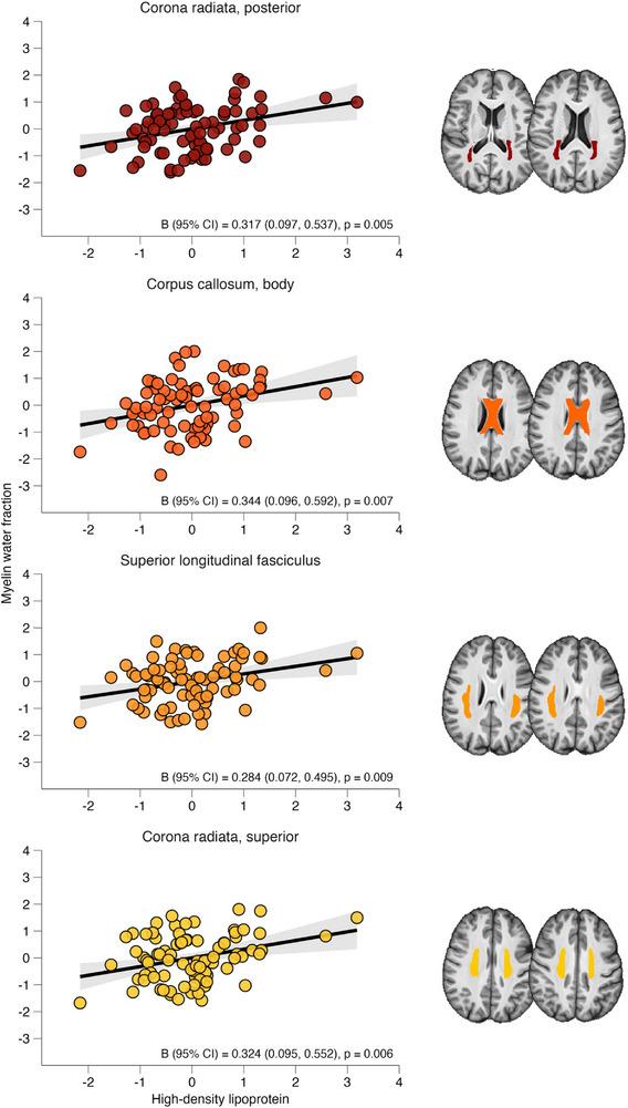https://cdn.ncbi.nlm.nih.gov/pmc/blobs/95b6/11848041/97852bc5d852/ALZ-21-e14599-g002.jpg