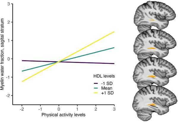 https://cdn.ncbi.nlm.nih.gov/pmc/blobs/95b6/11848041/98bc5ea28ec9/ALZ-21-e14599-g001.jpg