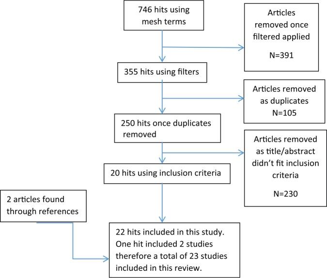 https://cdn.ncbi.nlm.nih.gov/pmc/blobs/95b6/5965331/c9da71ee8af8/10.1177_2059513117728200-fig1.jpg