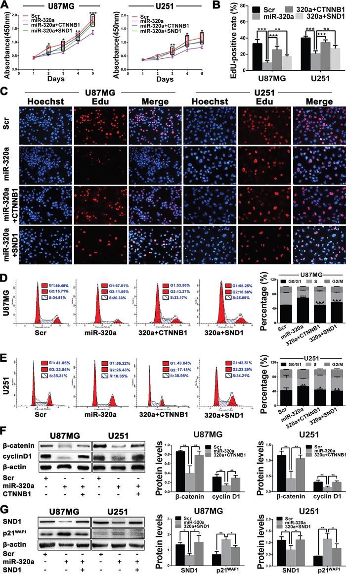 https://cdn.ncbi.nlm.nih.gov/pmc/blobs/95b8/5386717/5146943dca7e/oncotarget-08-19723-g004.jpg