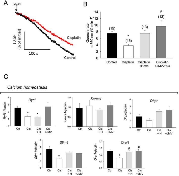 https://cdn.ncbi.nlm.nih.gov/pmc/blobs/95b8/5703021/7b1b5a469eeb/JCSM-8-386-g005.jpg