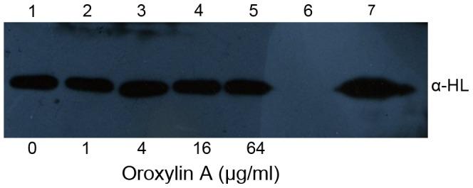 https://cdn.ncbi.nlm.nih.gov/pmc/blobs/95b9/3547825/f9e73a4b05e1/pcbi.1002869.g001.jpg