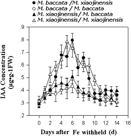 https://cdn.ncbi.nlm.nih.gov/pmc/blobs/95ba/3254686/a5160d810510/jexboterr314f09_lw.jpg