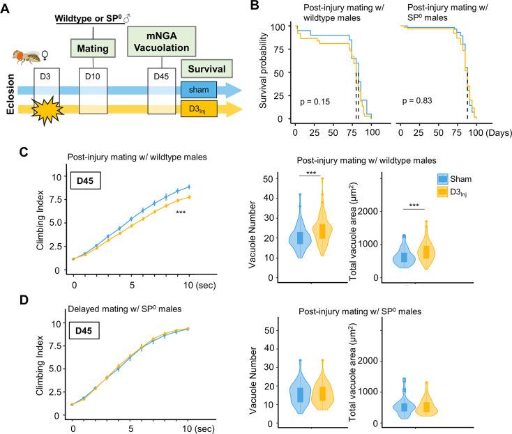 https://cdn.ncbi.nlm.nih.gov/pmc/blobs/95bd/11364438/2f07bd27aa27/elife-97908-fig7.jpg