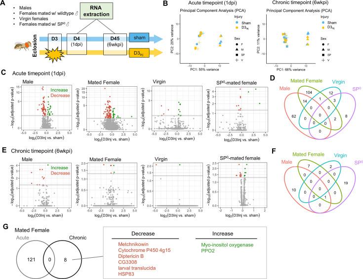 https://cdn.ncbi.nlm.nih.gov/pmc/blobs/95bd/11364438/d2d602a3eab8/elife-97908-fig8.jpg