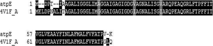 https://cdn.ncbi.nlm.nih.gov/pmc/blobs/95bd/8654640/3bf4624aeae3/gr1.jpg