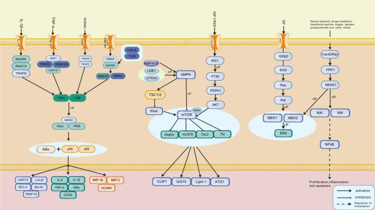 https://cdn.ncbi.nlm.nih.gov/pmc/blobs/95bf/12283317/a94b1bc5537e/fendo-16-1634580-g002.jpg