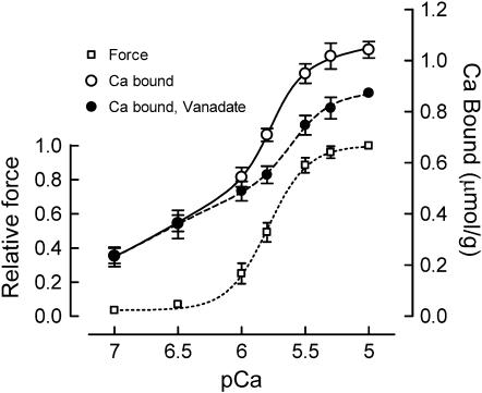 https://cdn.ncbi.nlm.nih.gov/pmc/blobs/95bf/2860225/4cec4978e0fc/gr3.jpg