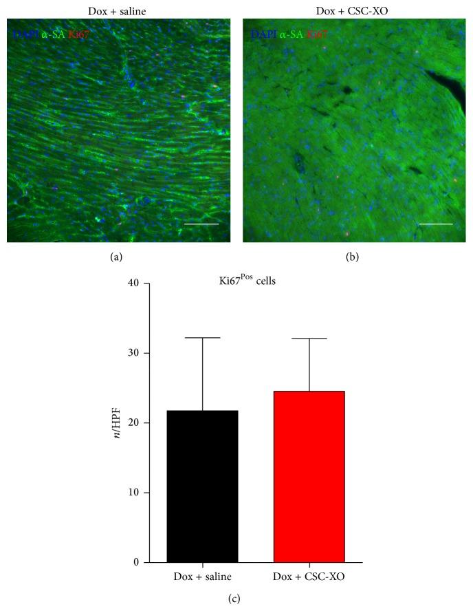 https://cdn.ncbi.nlm.nih.gov/pmc/blobs/95bf/4553317/ee68a8d62d2a/SCI2015-960926.006.jpg
