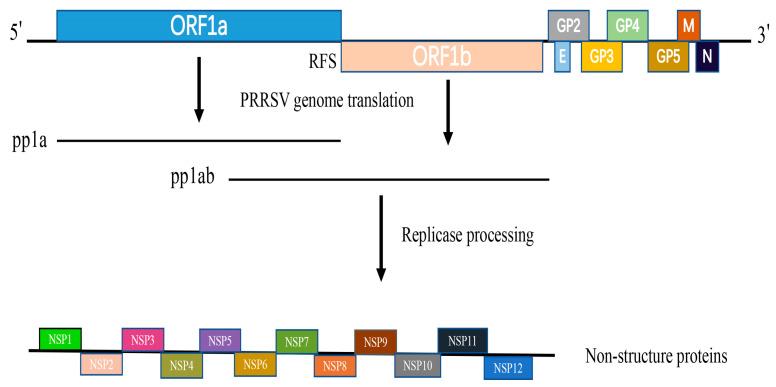 https://cdn.ncbi.nlm.nih.gov/pmc/blobs/95c0/10384725/c33ffd948183/vetsci-10-00451-g001.jpg