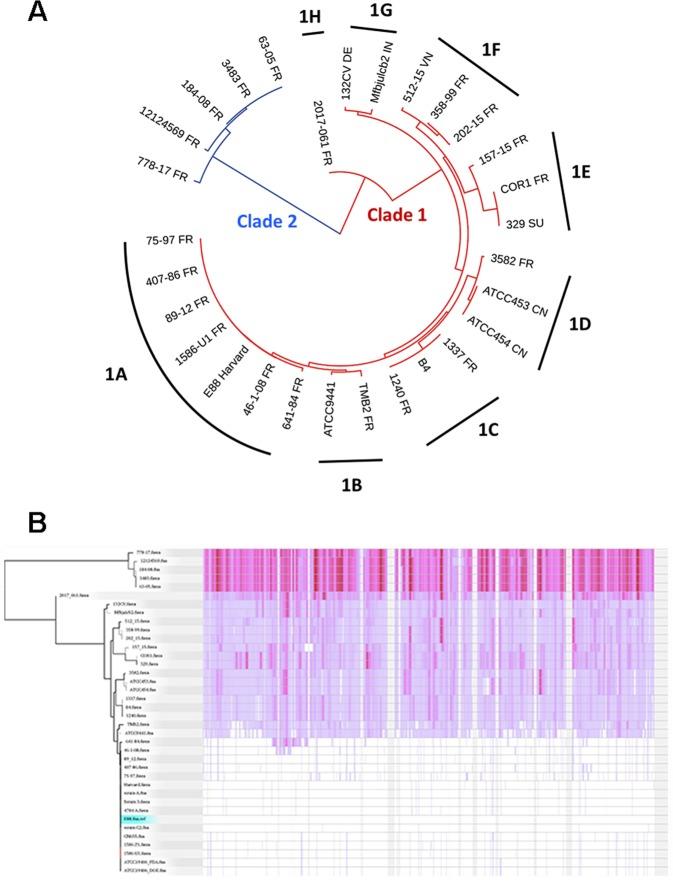 https://cdn.ncbi.nlm.nih.gov/pmc/blobs/95c2/6677821/08ae0fe922aa/41598_2019_47551_Fig1_HTML.jpg