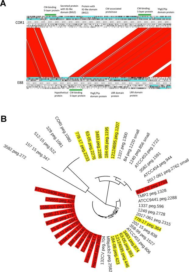 https://cdn.ncbi.nlm.nih.gov/pmc/blobs/95c2/6677821/9e706271b47d/41598_2019_47551_Fig5_HTML.jpg