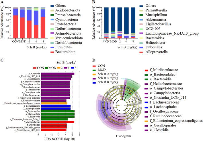 https://cdn.ncbi.nlm.nih.gov/pmc/blobs/95c3/12331688/17a8ec7055ff/fphar-16-1583307-g007.jpg