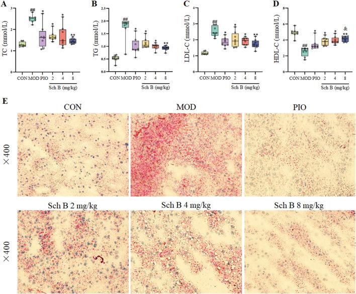 https://cdn.ncbi.nlm.nih.gov/pmc/blobs/95c3/12331688/2d6f9d1a6b95/fphar-16-1583307-g003.jpg