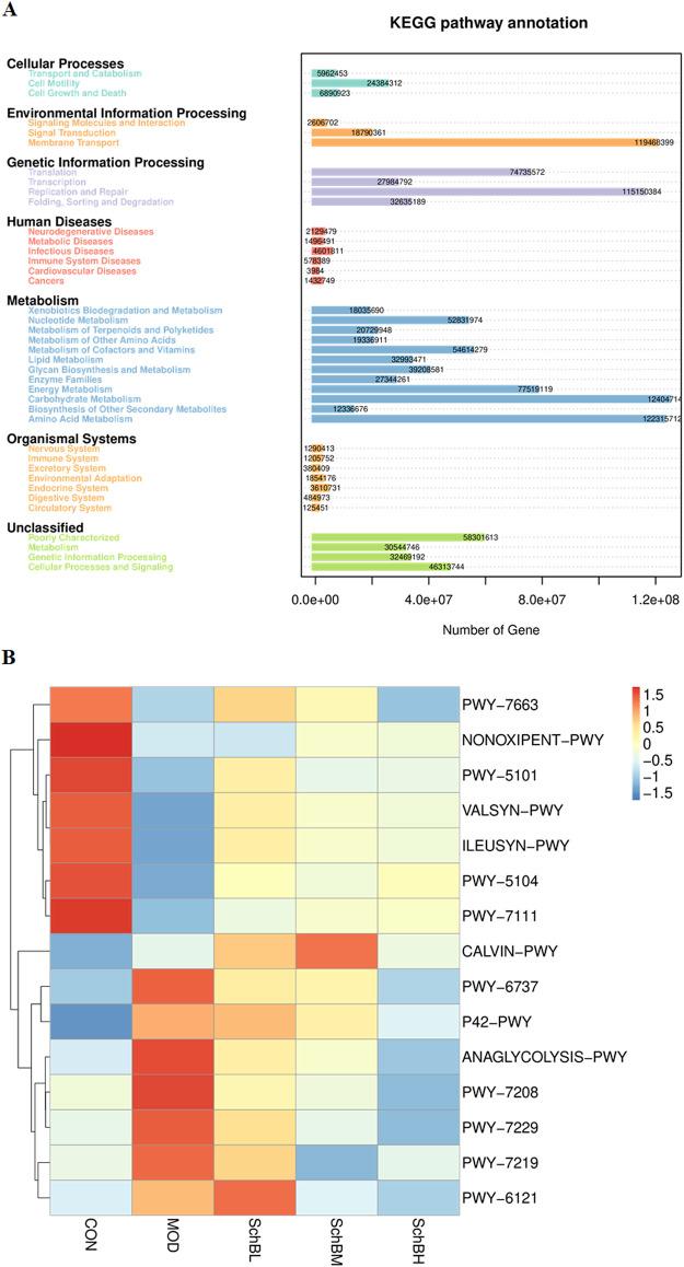 https://cdn.ncbi.nlm.nih.gov/pmc/blobs/95c3/12331688/4e39ff207182/fphar-16-1583307-g008.jpg