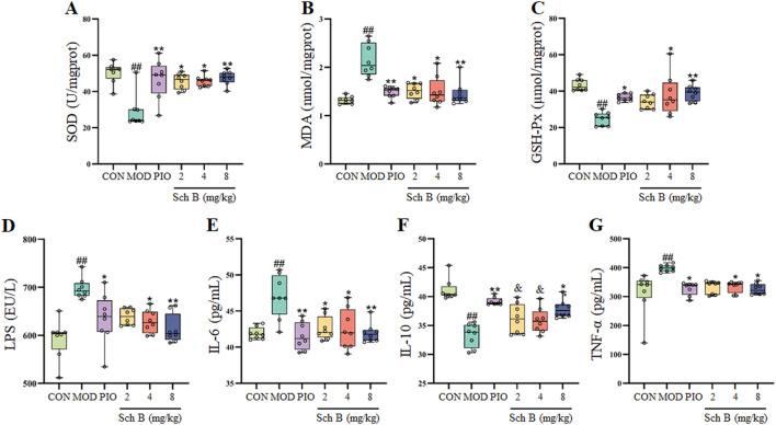 https://cdn.ncbi.nlm.nih.gov/pmc/blobs/95c3/12331688/580256c1a697/fphar-16-1583307-g004.jpg