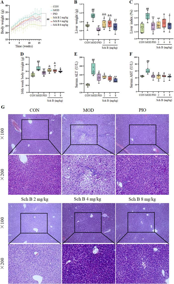 https://cdn.ncbi.nlm.nih.gov/pmc/blobs/95c3/12331688/652857ce092e/fphar-16-1583307-g002.jpg