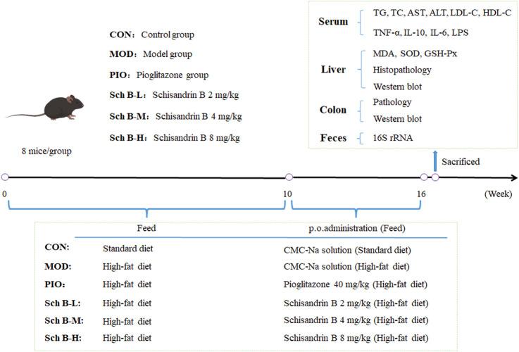 https://cdn.ncbi.nlm.nih.gov/pmc/blobs/95c3/12331688/9dc9a6ef56e4/fphar-16-1583307-g001.jpg