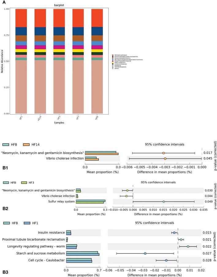 https://cdn.ncbi.nlm.nih.gov/pmc/blobs/95c4/10028198/544ba2bf75de/fcimb-13-1104343-g012.jpg