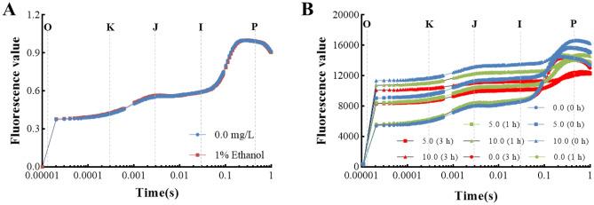 https://cdn.ncbi.nlm.nih.gov/pmc/blobs/95c4/11162473/43c96b559339/41598_2024_64129_Fig3_HTML.jpg