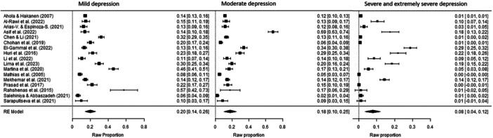https://cdn.ncbi.nlm.nih.gov/pmc/blobs/95c5/12051433/0a294496961b/HSR2-8-e70786-g002.jpg